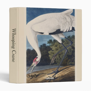 Vintage Audubon Whooping Crane Bird Nature Art 3 Ring Binder