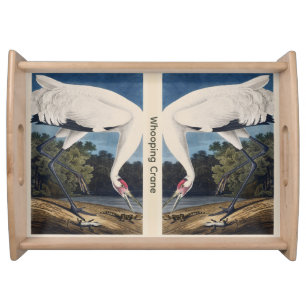 Vintage Audubon Whooping Crane Bird Nature Art Serving Tray