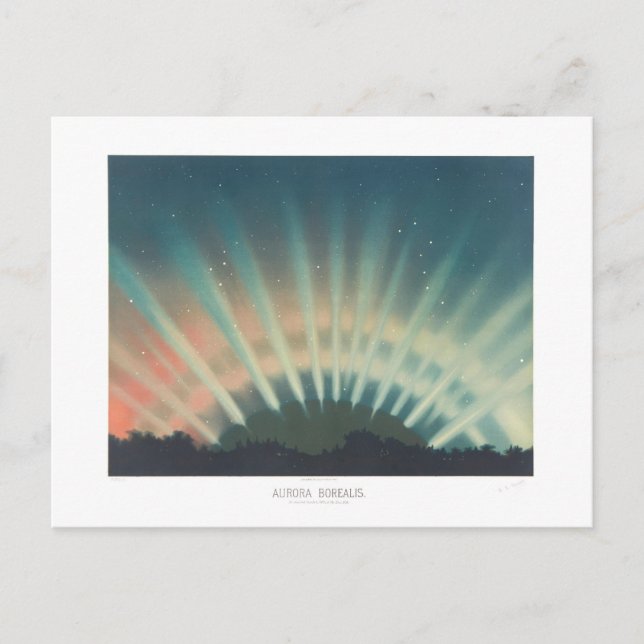 Vintage Aurora Borealis Illustration Postcard (Front)