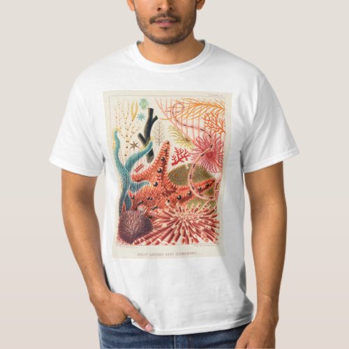 Vintage Australia Great Barrier Reef Fishes T_Shirt