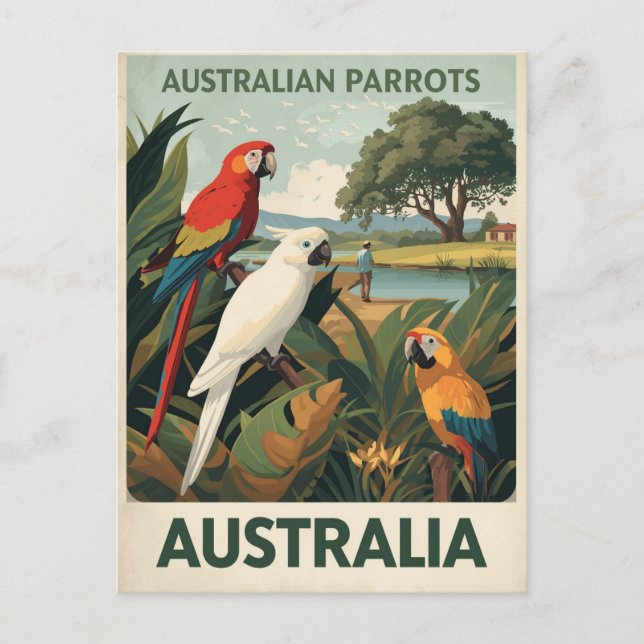 Vintage Australia Parrots Wildlife Postcard (Front)