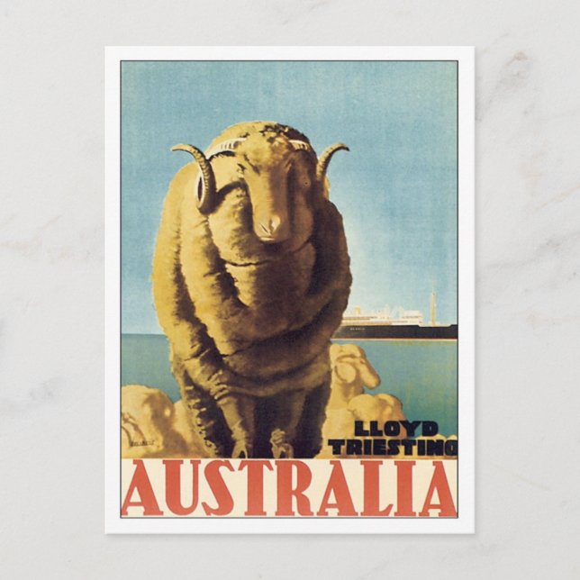 Vintage Australia Ship Line Postcard (Front)