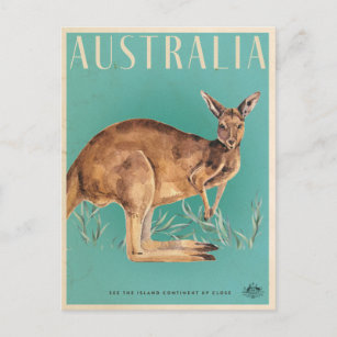 Vintage Australian Kangaroo Travel Postcard