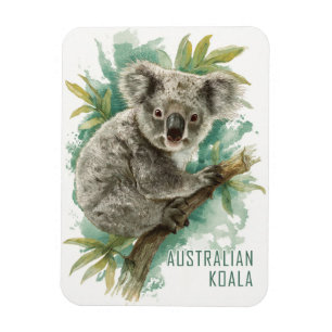 Vintage Australian Koala Travel Magnet