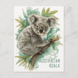 Vintage Australian Koala Travel Postcard