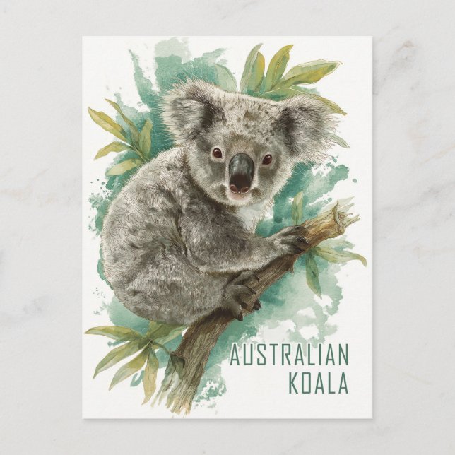Vintage Australian Koala Travel Postcard (Front)
