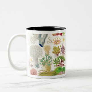 Vintage Australian marine biology illustration - g Two-Tone Coffee Mug