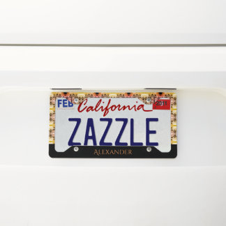 Vintage Austria Vienna Belvedere castle gate License Plate Frame