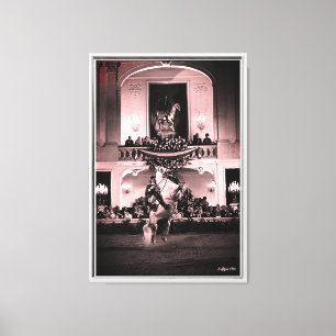 Vintage Austria Vienna Spanish Courbette Canvas Print