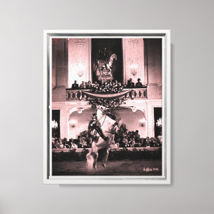 Vintage Austria Vienna Spanish Courbette Canvas Print