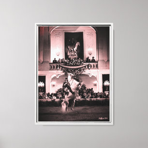 Vintage Austria Vienna Spanish Courbette Canvas Print