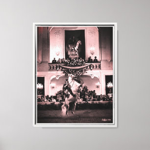 Vintage Austria Vienna Spanish Courbette Canvas Print