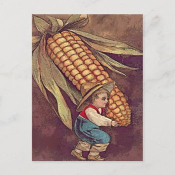 Vintage Autumn Boy With Corn Postcard by haveuhurd at Zazzle
