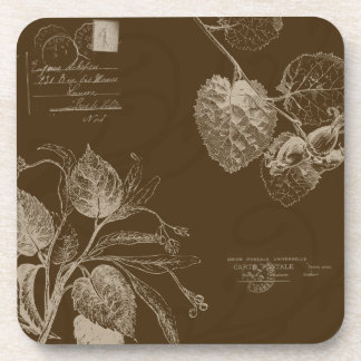 Vintage Autumn Leaves Beverage Coaster