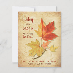 Vintage Autumn Maple Leaves Wedding Save the Date Note Card
