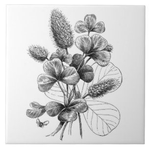 Vintage B&W Clover Bouquet Tile
