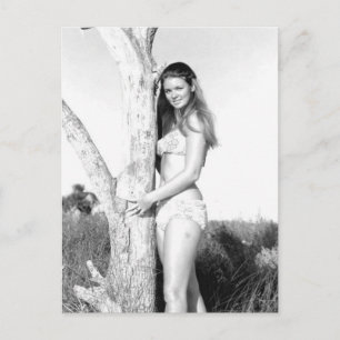 Vintage B&W Photo Florida Bikini Girl Postcard