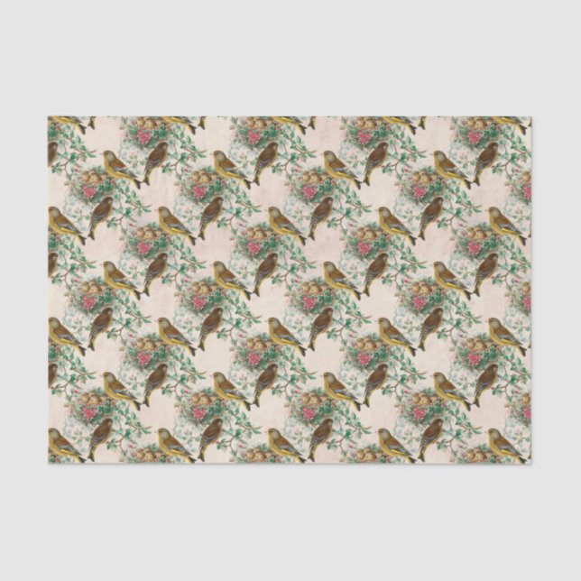 Vintage Baby Bird Nest Tissue Paper (Front)