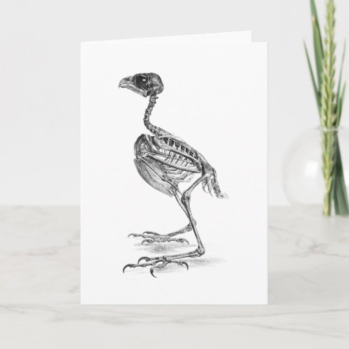 Vintage baby bird skeleton etching card