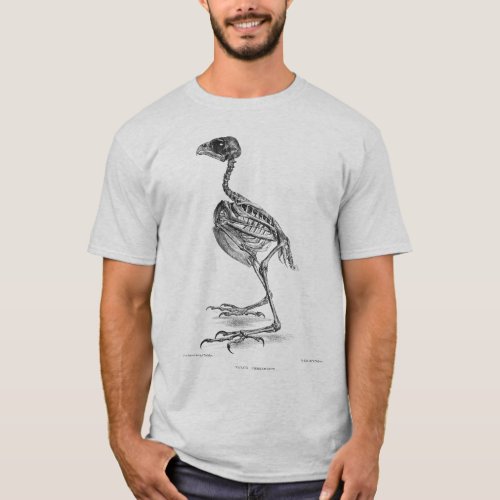 Vintage baby bird skeleton etching T_Shirt