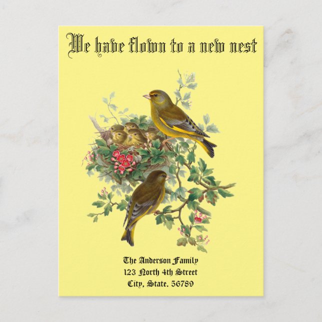 Vintage Baby Birds Nest New Home Announcement (Front)