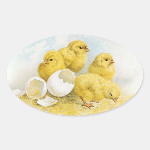 Vintage Baby Chickens Oval Sticker