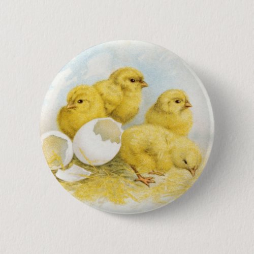 Vintage Baby Chickens Pinback Button