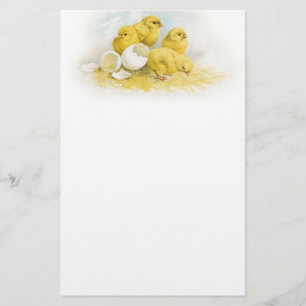 Vintage Baby Chickens Stationery