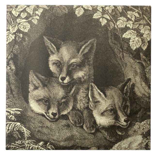 Vintage baby fox woodland ceramic tile (Front)