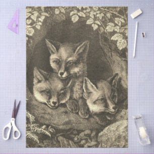Vintage baby fox woodland illustration brown tissue paper