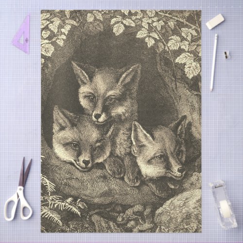Vintage baby fox woodland illustration brown tissue paper