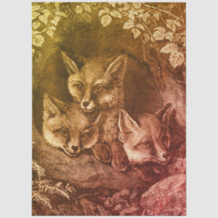 Vintage baby fox woodland illustration orange brow tissue paper