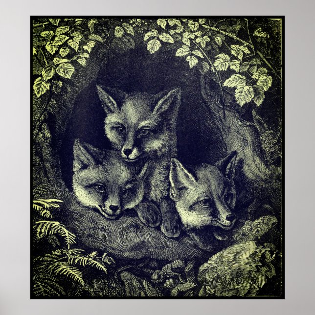 Vintage baby fox woodland poster (Front)