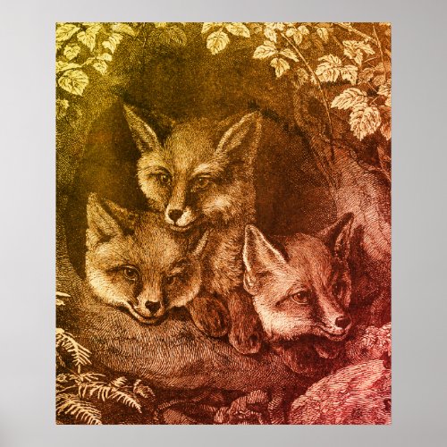 Vintage baby fox woodland smart foxes vintage book poster