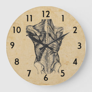 Vintage Back Anatomy Large Clock