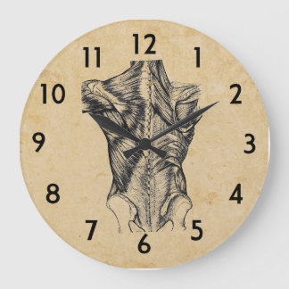 Vintage Back Anatomy Large Clock