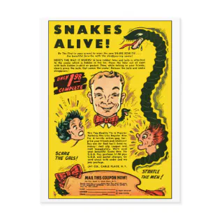Vintage Back of Comic Book Ad 'Snakes Alive' Postcard