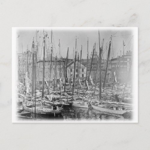 Vintage Baltimore Skipjack Sailboats Postcard