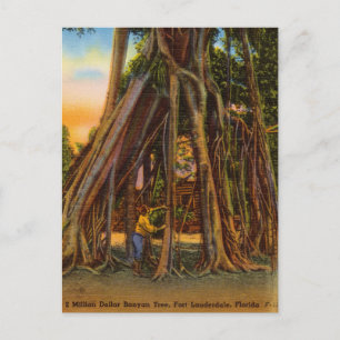 Vintage Banyan Tree, Fort Lauderdale, Florida Postcard