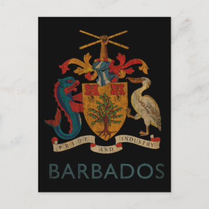 Vintage Barbados Postcard