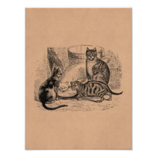 Vintage Barn Cats 1800s Cat Illustration Template Photo Print