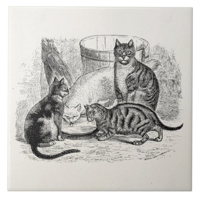 Vintage Barn Cats 1800s Cat Illustration Template Tile (Front)