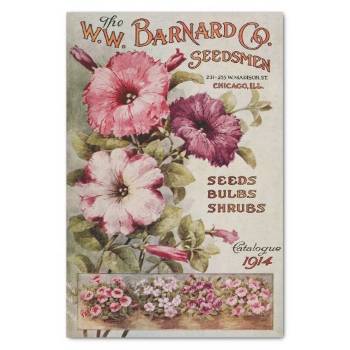 Vintage Barnard Flower Catalogue 1914 Print Tissue Paper