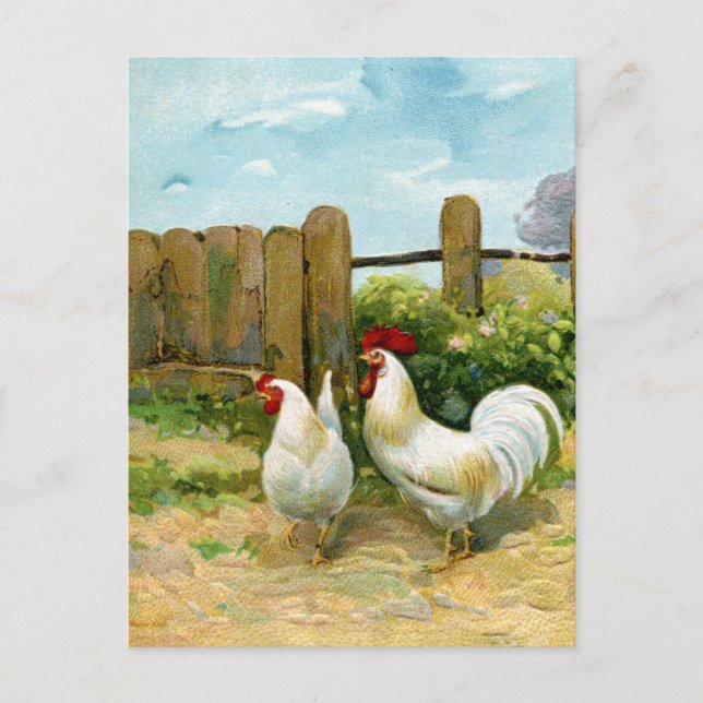 Vintage Barnyard Scene Postcard (Front)