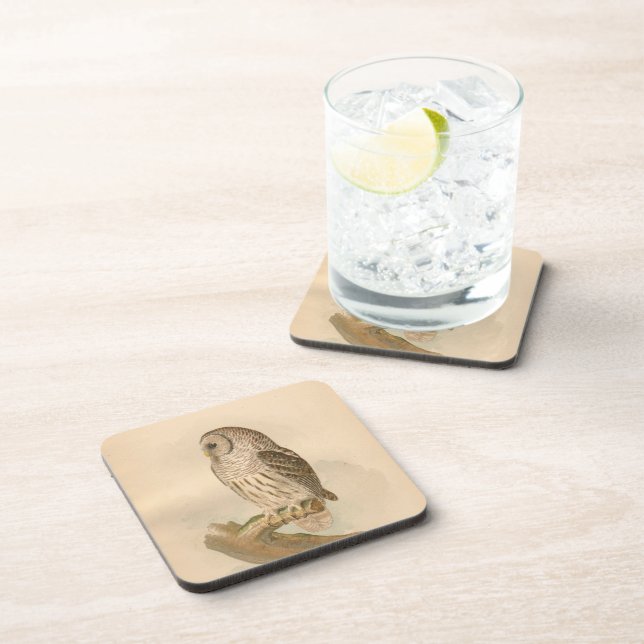 Vintage Barred Owl Illustration Beverage Coaster (Right Side)