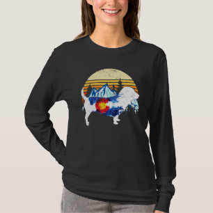 Vintage Basset Hound Dog Colorado Flag Sunset Retr T-Shirt