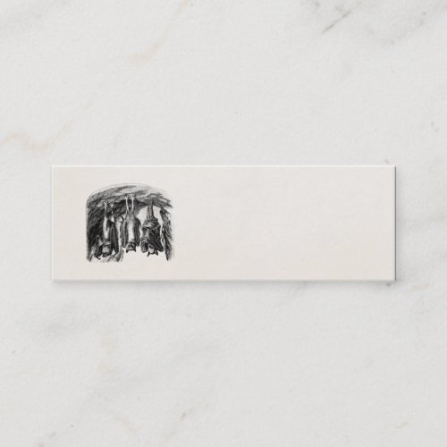 Vintage Bat 1800s Flying Fox Bat Business Cards