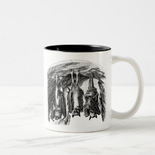 Vintage Bat 1800s Flying Fox Bat Two-Tone Coffee Mug