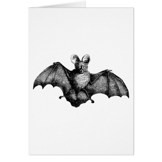Vintage Bat Cards (Front)