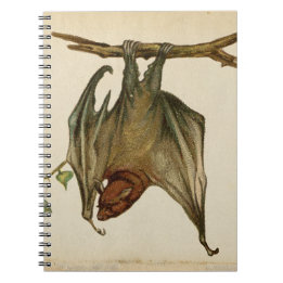 Vintage Bat Colour Illustration Notepad / Notebook